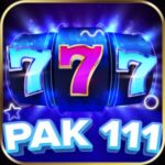 Pak 111 Game